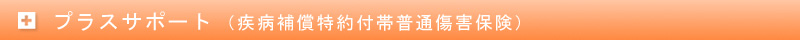 �v���X�T�|�[�g